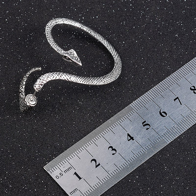 Aretes de Serpiente en Plata 925